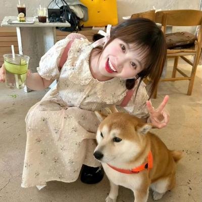 萨米大冒险